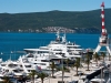 Tivat